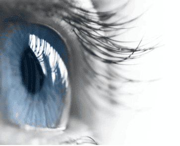 Inovación: IA al servicio del cribado de la retinopatía diabética