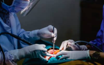 Le nouveau pôle Odontologie du CHU de NICE a choisi Evolucare OpRoom
