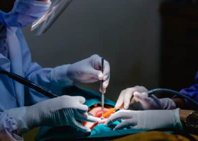 Le nouveau pôle Odontologie du CHU de NICE a choisi Evolucare OpRoom