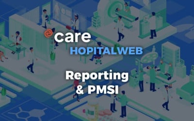 HopitalWeb : Un outil spécialisé pour la saisie de l’activité et le reporting