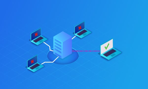 Duplicata Vignette