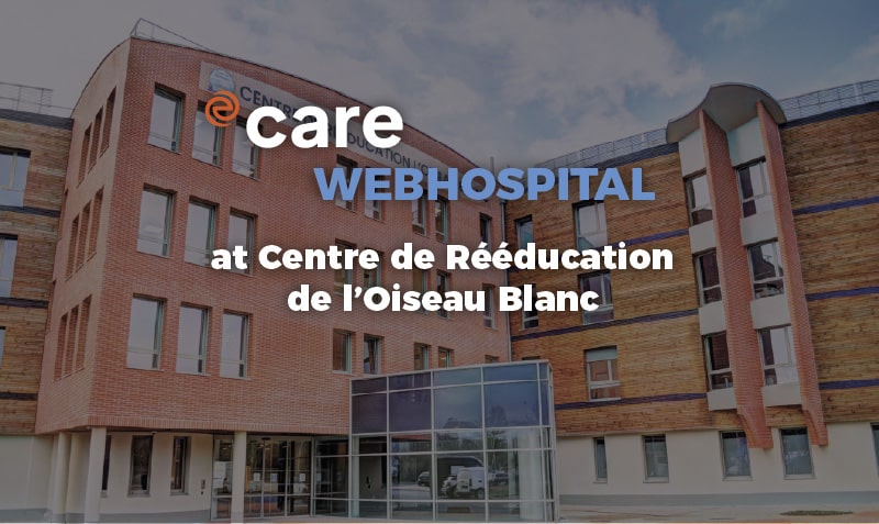 Oiseau Blanc En