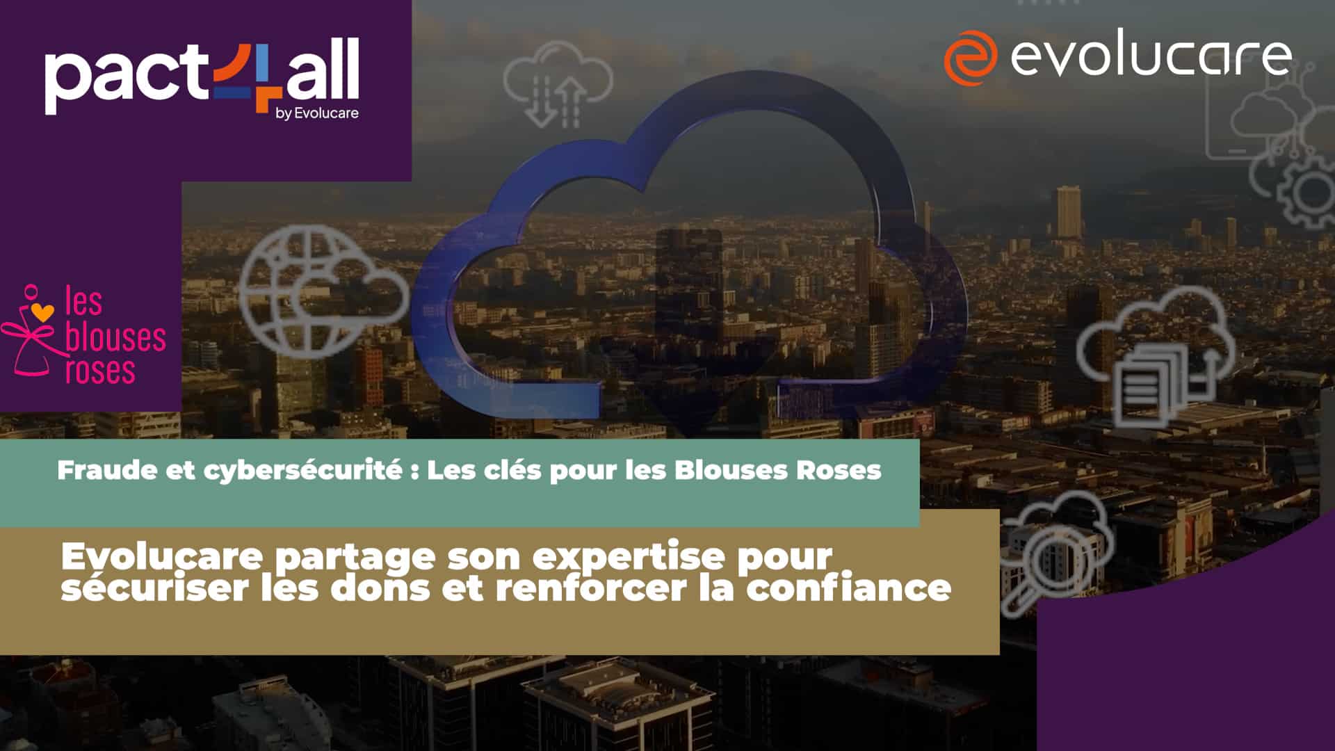 Miniature Webinaire 2