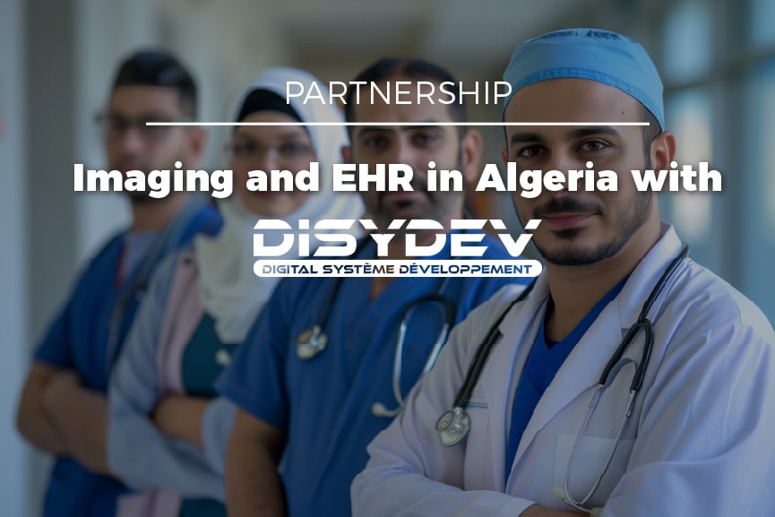 Disydev Partnership En 80