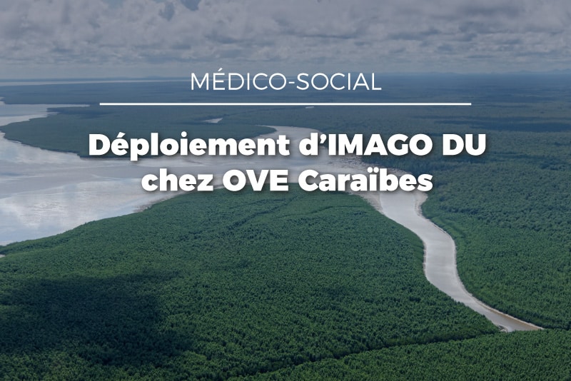 Ove Caraibes